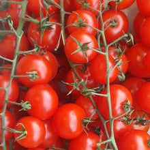 Load image into Gallery viewer, Cherry Tomatoes
